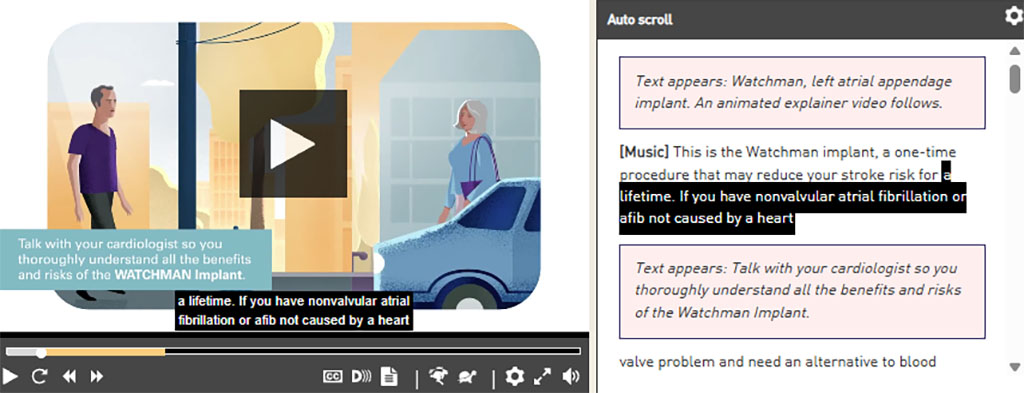 Accessible video player showing captions, audio-description controls and an accompanying transcript with descriptions of on-screen text.